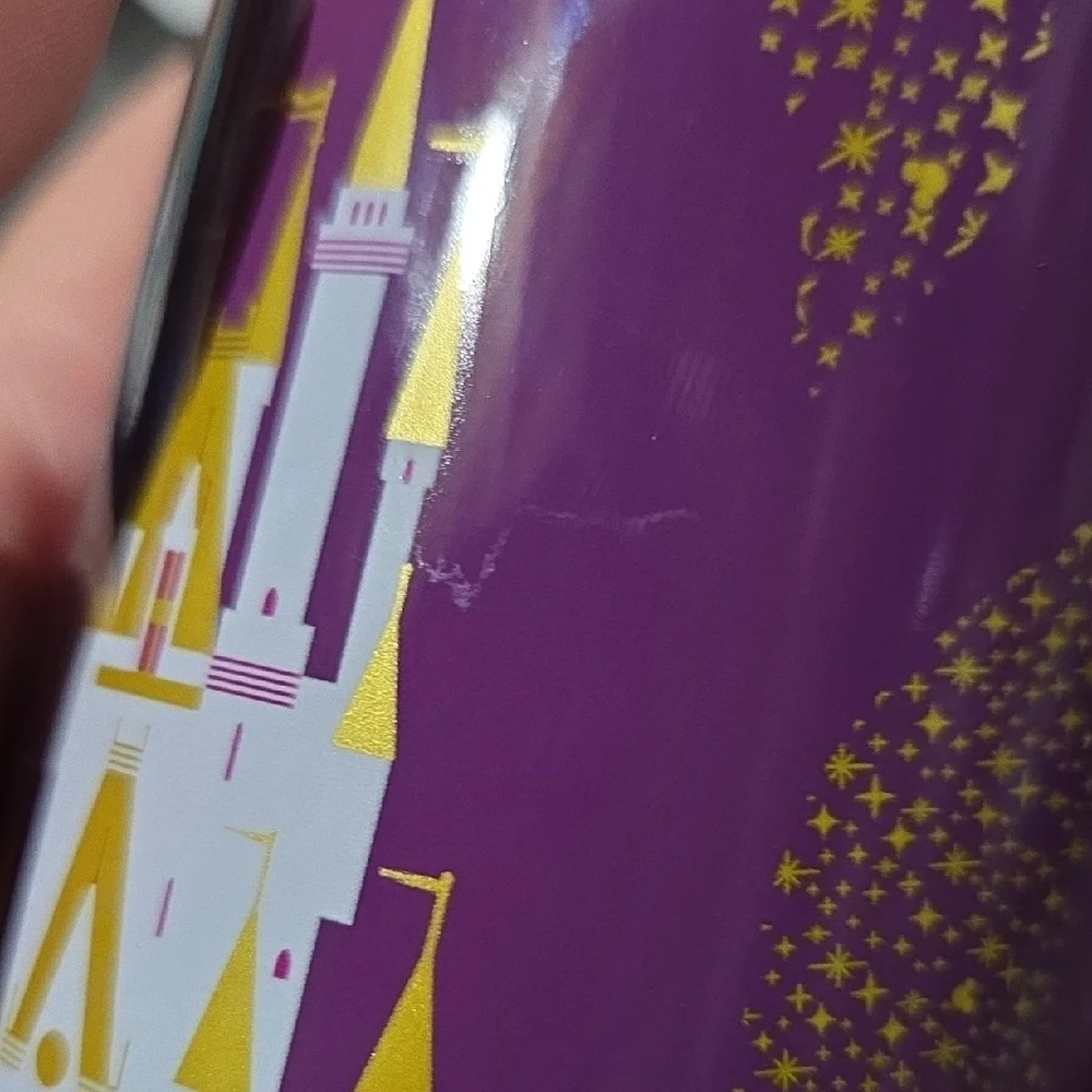 Disney Starbucks Metal Bottle